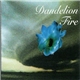 Dandelion Fire - True Chasm